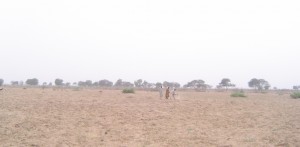 dsc000701