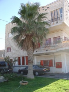 DSC07229